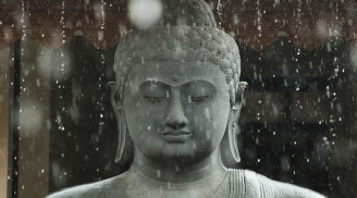 Phật dạy đạo lý nhân sinh sâu sắc thông qua câu chuyện Khổng Tước và Phượng Hoàng, nhất định đừng bỏ qua!