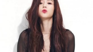 3 con giáp SỰ NGHIỆP VỤT SÁNG, tiền đè người, LỘC LÁ bừng bừng năm 2017