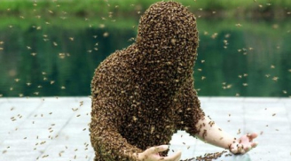 Người đàn ông bị đàn ong đốt hơn 100 mũi, t.ử v.ong tại chỗ