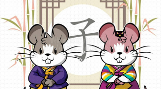 Tuổi Giáp Tý năm Đinh Dậu 2017: Tất tần tật những điều cần lưu ý