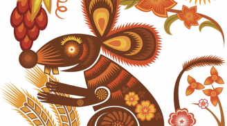 Tuổi Mậu Tý năm Đinh Dậu 2017: Tất tần tật những điều cần lưu ý