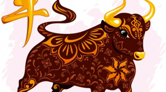 Tuổi Sửu năm Đinh Dậu 2017: Tất tần tật những điều cần lưu ý