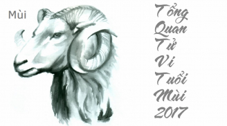 Tuổi Ất Mùi năm Đinh Dậu 2017: Tất tần tật những điều cần lưu ý