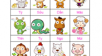 12 con giáp được ông trời  ban tặng TÀI NĂNG đặc biệt, VẬN MAY nào?