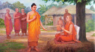Phật dạy: Rũ bỏ mọi phiền não thì hạnh phúc sẽ tìm đến với bạn