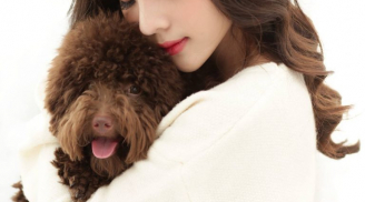 Chương trình truyền hình thực tế hot không kém The Face lên sóng