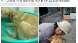 Dân cư mạng búc xúc vụ nam thanh niên ở Sài Gòn tra tấn dã man chú chó để trả thù bạn