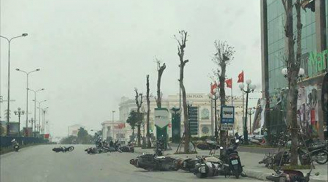 Phú Thọ: Giông lốc 'quật ngã' hàng chục chiếc xe máy nằm la liệt trên đường