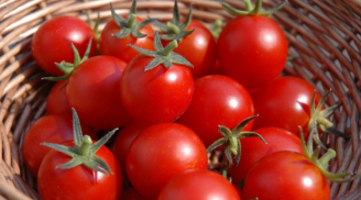 Cách bảo quản cà chua tươi lâu, thơm ngọt nhất