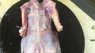 Không thể nhịn cười với cách làm thịt gà 'bá đạo' của nàng dâu 'khéo' tay nhất Vịnh Bắc Bộ