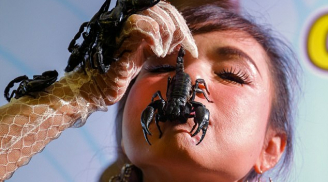 SỐC: Cô gái để chục con bọ cạp cực độc bò trên mặt