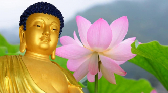 66 lời Phật dạy về cuộc sống ai cũng nên đọc ít nhất 1 lần trong đời