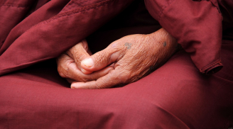 Câu chuyện Phật giáo: Mỗi hạt cơm nặng nghĩa tình người