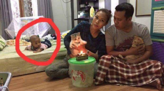 Dân mạng cười nghiêng ngả trước cảnh bố mẹ 'bơ' con trai để chuyên tâm tổ chức sinh nhật cho mèo cưng