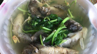 Đắng lòng bát canh cá rô nguyên con nấu rau cải của cô vợ hậu đậu