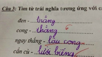 Xem đáp án đầy sáng tạo trong bài kiểm tra của con: Thầy cô cạn lời, bố mẹ dở cười dở khóc