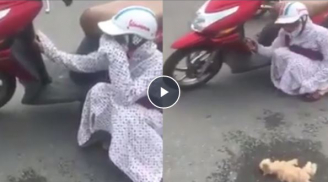 Cô gái gào khóc vật vã giữa đường vì mèo cưng chết do tai nạn giao thông gây nhiều tranh cãi