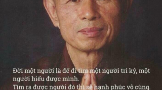 Thiền sư Thích Nhất Hạnh về Việt Nam khi nào?