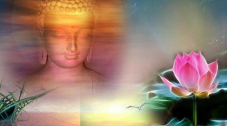 Phật dạy: “Bồ tát sợ nhân, chúng sinh sợ quả” hành động của mỗi người tốt hay xấu đều có luật nhân quả