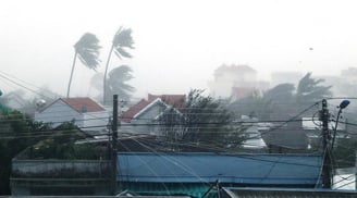 CẬP NHẬT: Bão số 12 về Khánh Hoà, toàn bộ thành phố mất điện, sóng biển cao 8m