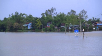 Xót xa mảnh đất Bình Định: Lũ lên bất ngờ, hồ chứa vượt tải, gần 3.000 nhà dân bị ngập