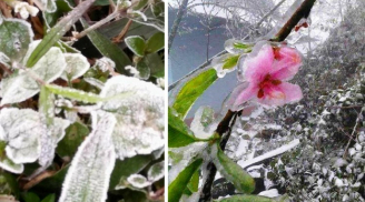 Hiện tượng băng tuyết bất thường tại Nghệ An: Sa Pa thứ hai trên dải đất miền Trung