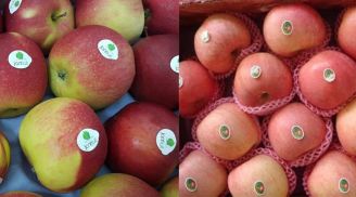 Cách phân biệt táo nhập khẩu và táo Trung Quốc