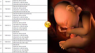 Lịch siêu âm thai định kỳ và những cảnh báo khi khám thai