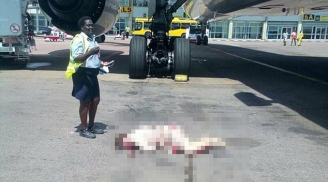 Nữ tiếp viên hàng không tử nạn vì bước hụt ở cửa thoát hiểm