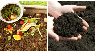 Bày cách ủ phân hữu cơ tại nhà cho nông dân nhà phố