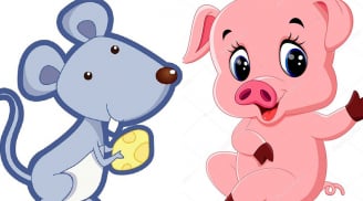 Tuổi Tý và tuổi Hợi có hợp nhau không?