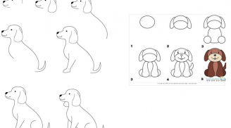 Cách vẽ con chó đơn giản nhất Mẫu hình vẽ con chó cute đẹp nhất  TRẦN  HƯNG ĐẠO