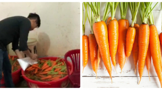 Bắt quả tang một cơ sở dùng hóa chất tẩy trắng 6,3 tấn củ cải, cà rốt