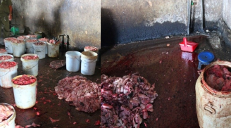 Đồng Nai: Phát hiện và triệt phá lò nấu mỡ động vật bẩn