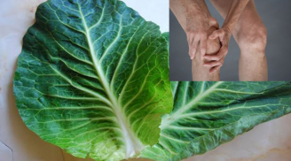 5 tác dụng chữa bệnh tuyệt vời của bắp cải