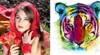 4 nàng giáp ngỡ cuộc đời bế tắc, ai ngờ sau 35 nở hoa không ngờ, giàu sang phú quý không tưởng!