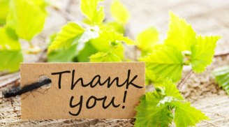 Con người càng biết nói cảm ơn thì càng nhiều phúc báo