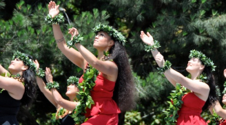 Hãy sống với tinh thần Aloha: Chân thành, từ bi và yêu thương