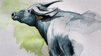 Tính cách tuổi Sửu cung Ma Kết