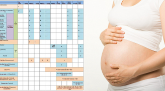 Lịch tiêm phòng đầy đủ cho mẹ bầu trong quá trình mang thai