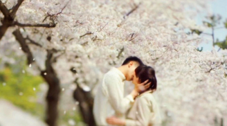 Xin hãy yêu nhau bằng cả tấm chân tình...đến khi nào có thể