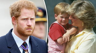 Hoàng tử Harry thực hiện lời hứa với cố công nương Diana, tiếp bước hoạt động dang dở của mẹ