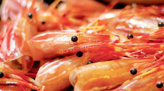 4 sai lầm tai hại khi ăn hải sản cần tránh kẻo gây hại cho sức khỏe