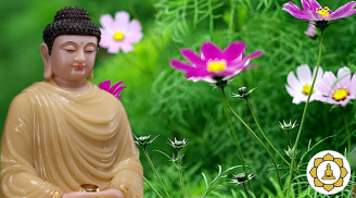 Phật dạy: Hãy cảm ơn người đối xử tệ với bạn vì họ đang gánh nghiệp giúp bạn