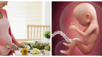 Chi tiết chế độ ăn từng tuần trong 9 tháng mang thai mẹ bầu nhất định phải biết