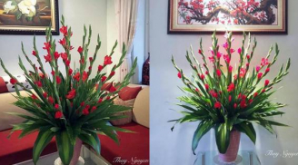5 cách cắm hoa đơn giản giúp phòng khách nhà bạn rực sáng trong những ngày mưa dông