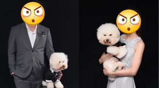 Phát cuồng với biểu cảm 'hờn cả thế giới' của chú chó poodle theo 'sen' đi chụp ảnh cưới