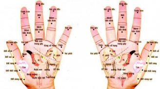 3 huyệt vị vô cùng quan trọng trên bàn tay và cách bấm huyệt bàn tay chữa bệnh cần ghi nhớ