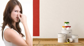 Biện pháp khử mùi sơn và các hóa chất độc hại tránh ung thư khi về nhà mới hoặc sử dụng đồ gỗ
