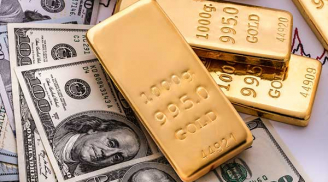Giá vàng hôm nay ngày 14/8: USD tăng đột biến, vàng tìm đáy mới